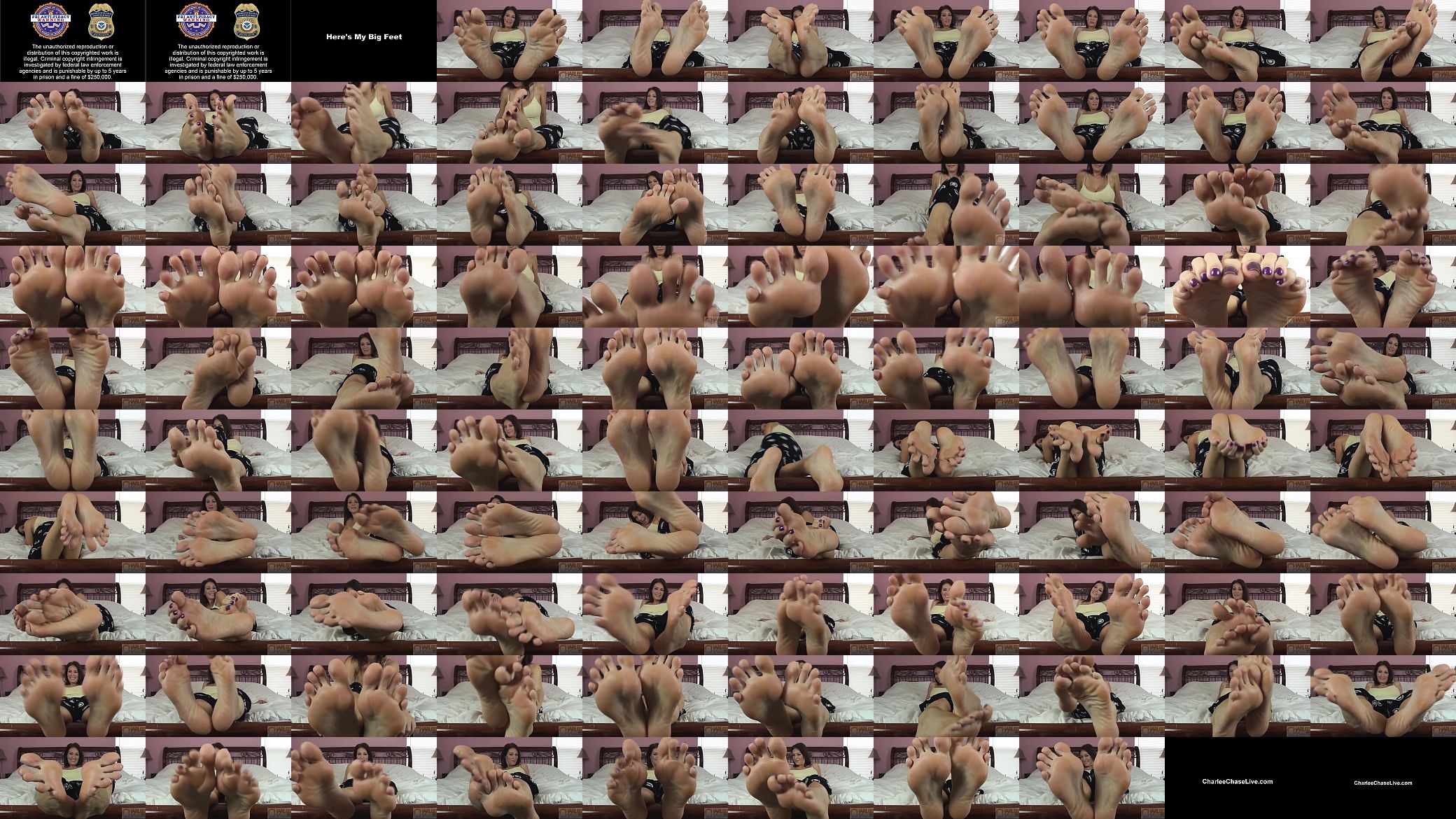 Charlee Chase Here&#039;s My Big Feet 预览图