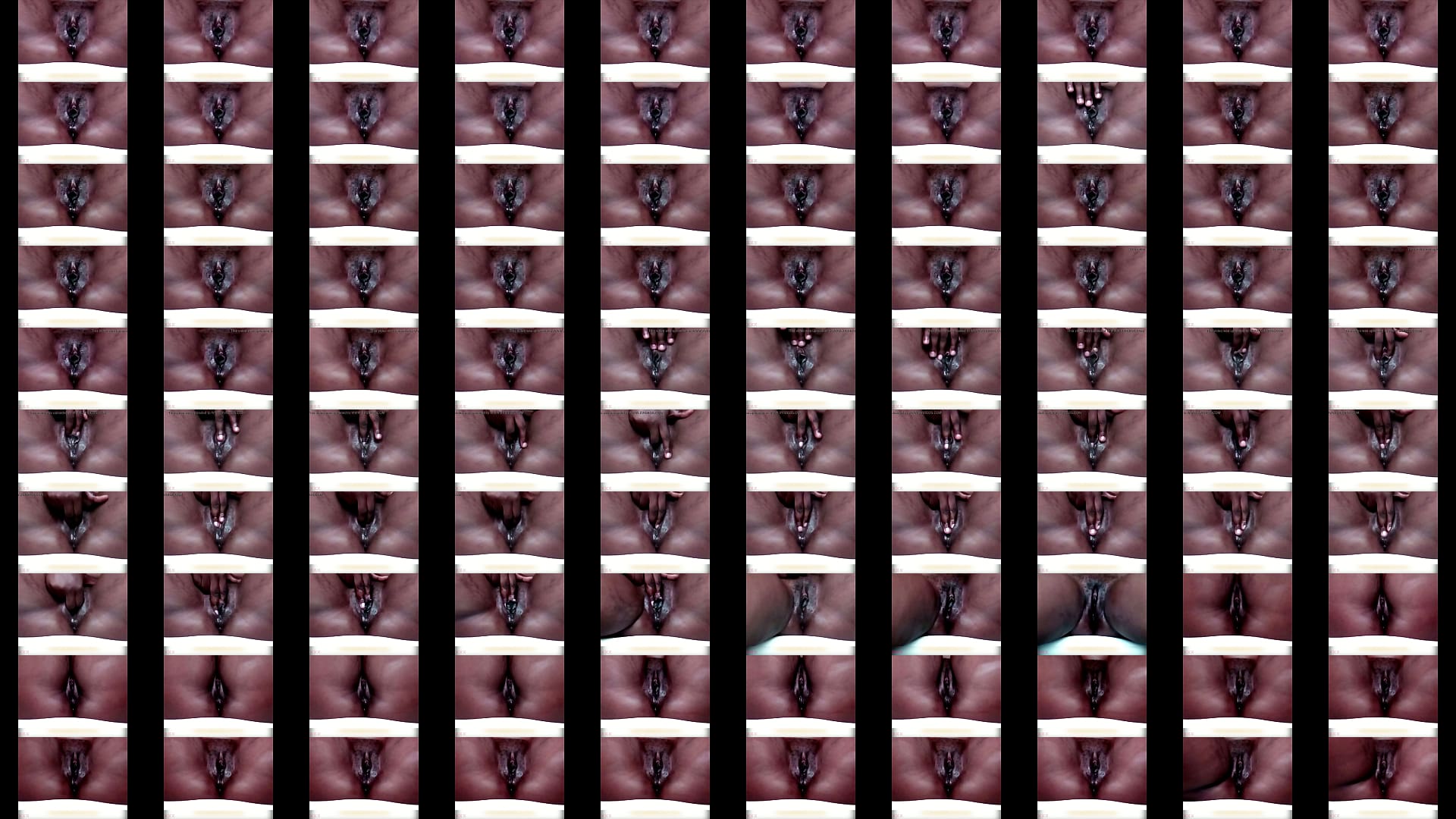 Black vagina close up 预览图