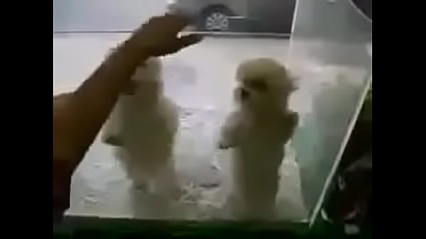 ÐºÑƒÐ´Ñ€ÑÐ²Ñ‹Ðµ Ñ‚Ð°Ð½Ñ†Ñ‹!!!