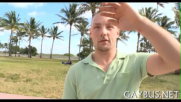 Xv-53dc8552a1fc2db68c6339a96254d3de