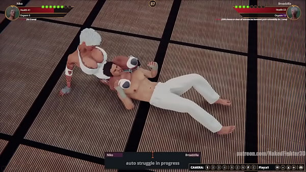 Niko VS Broadzilla (Naked Fighter 3D)