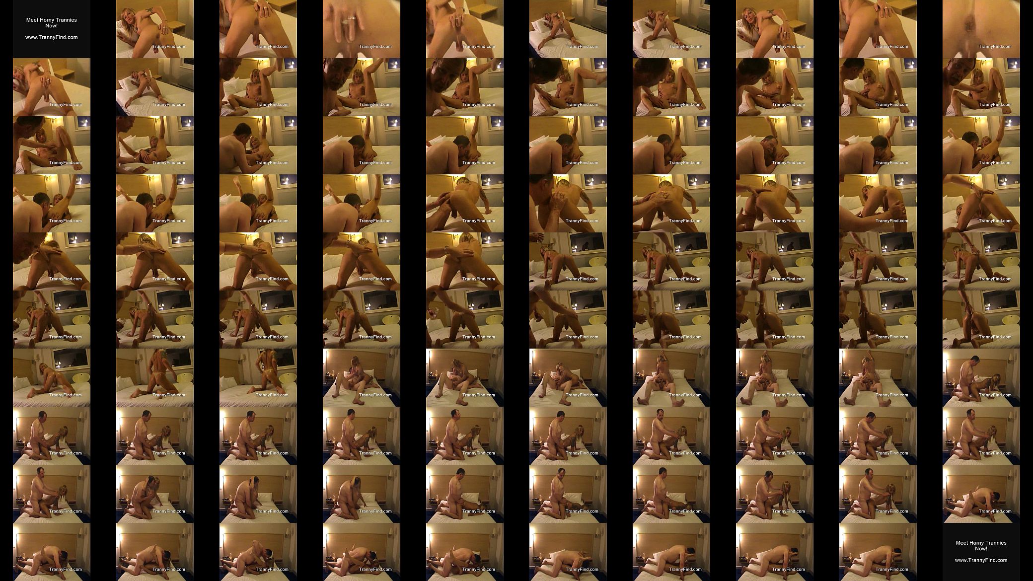 tranny hotel sex 预览图