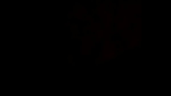 Video 1510414658143
