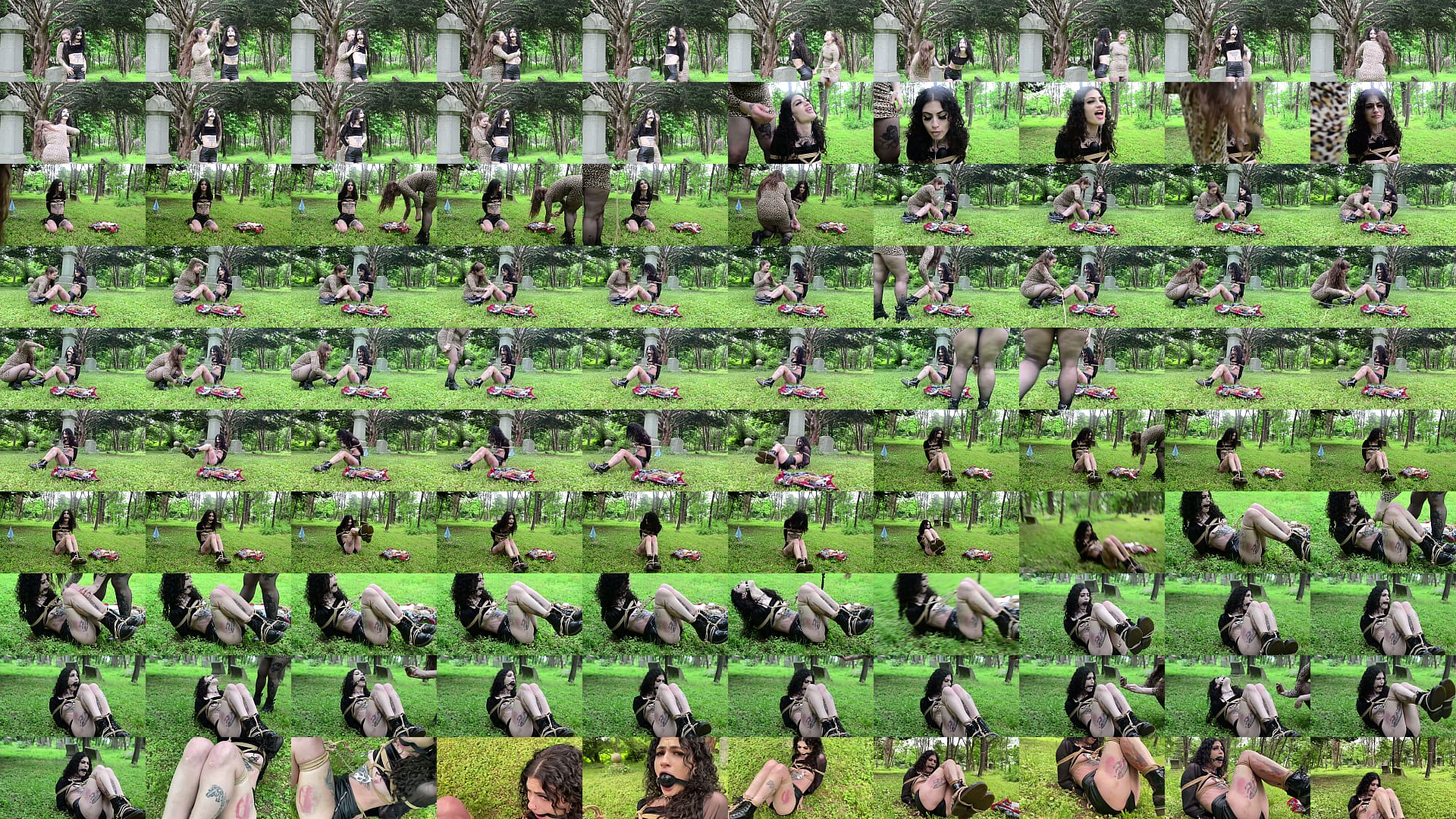 Goth Slut tied and used in the Graveyard 预览图