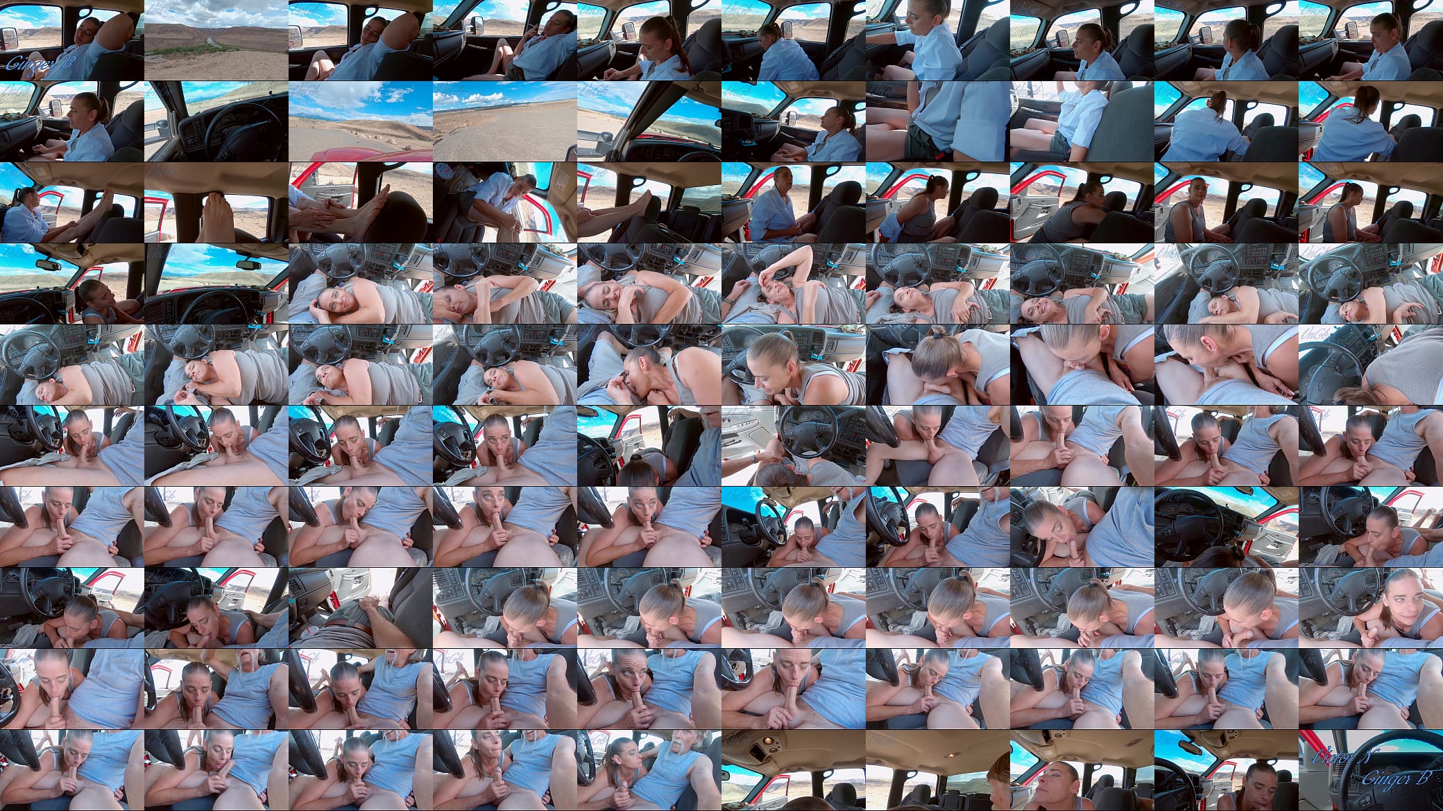 There&#039;s Shade In The Truck 预览图