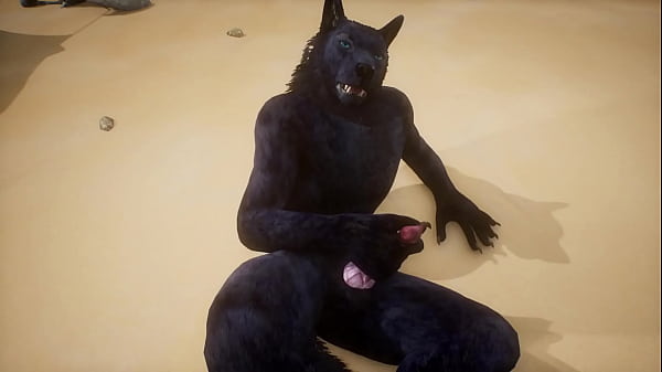 Download Video - POV tiger fucks wolf - wildlife