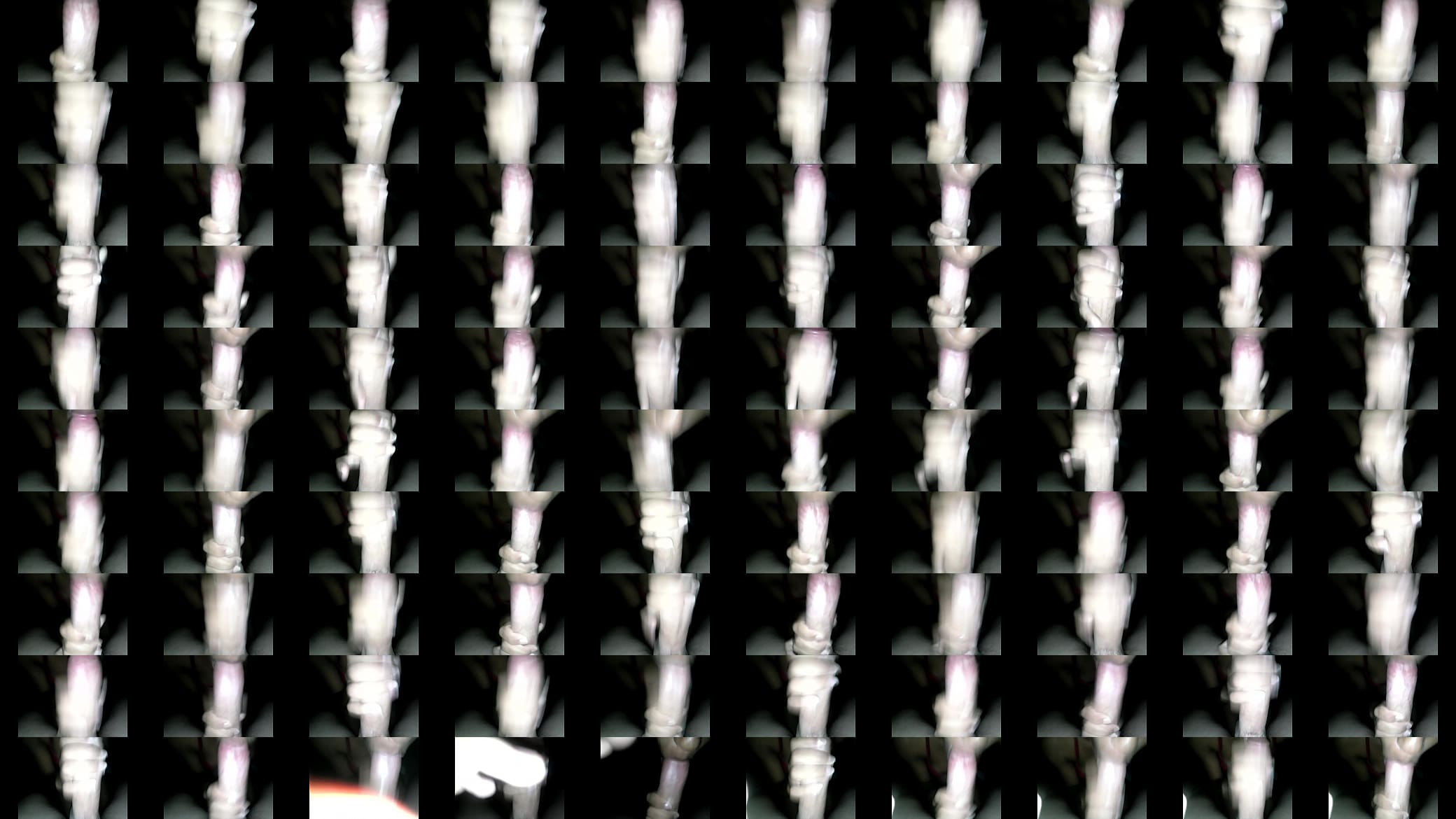 CAM00391 预览图