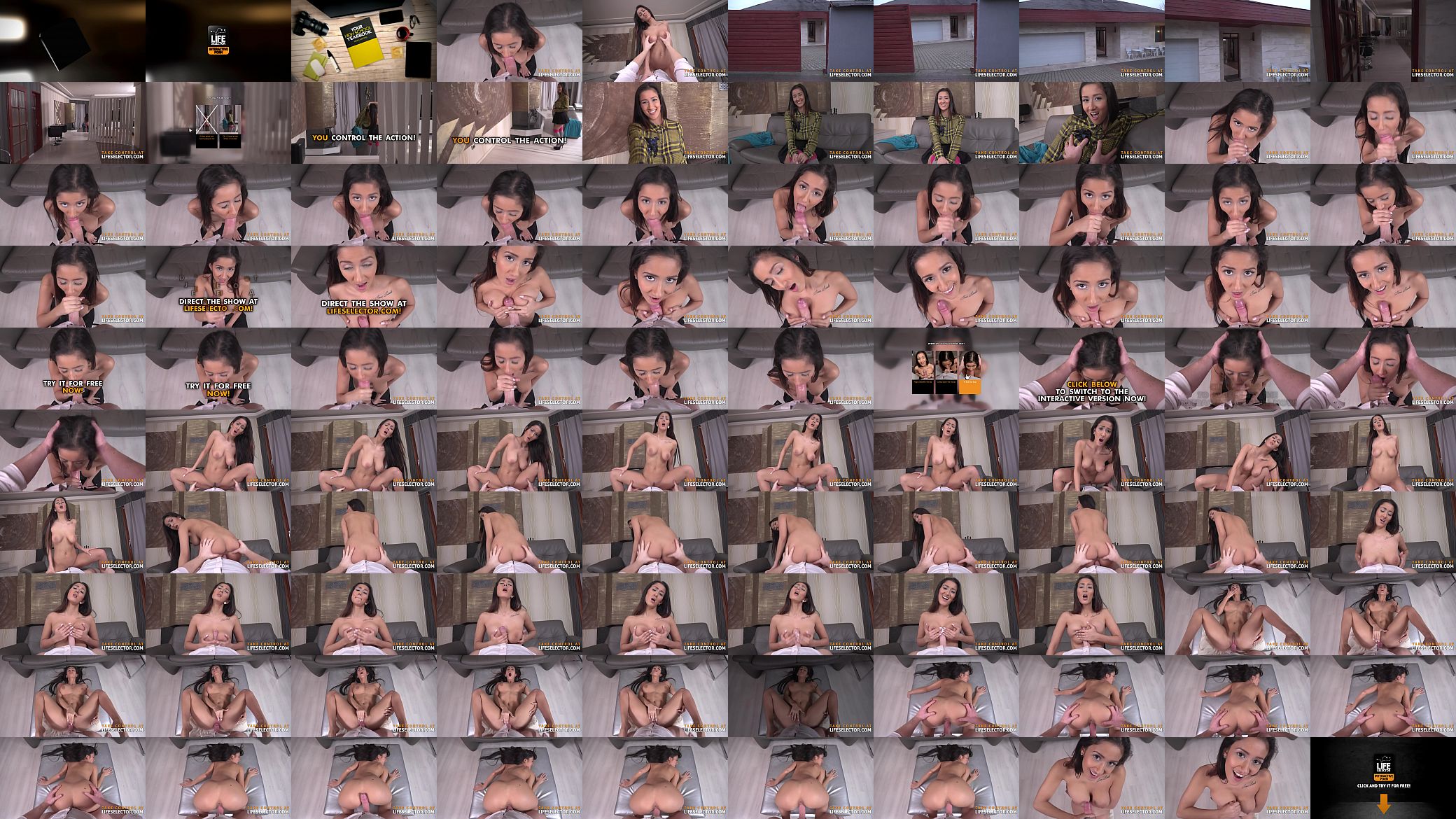 Darcia Lee - h. Adventures 预览图