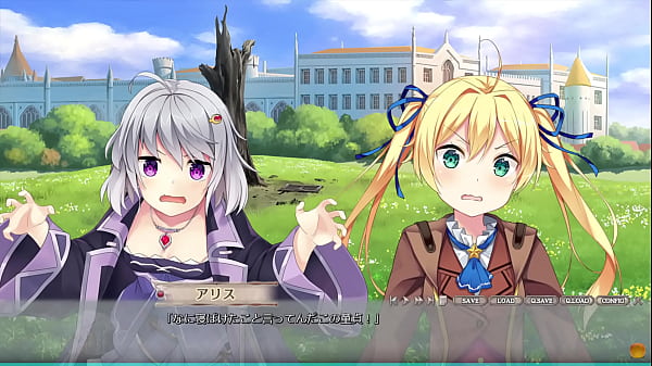 ニュートンと林檎の樹　ソフマップ特典　猫派のア...