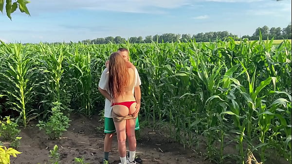 Stepbrother has Public Sex with Stepsister while walking through a cornfield