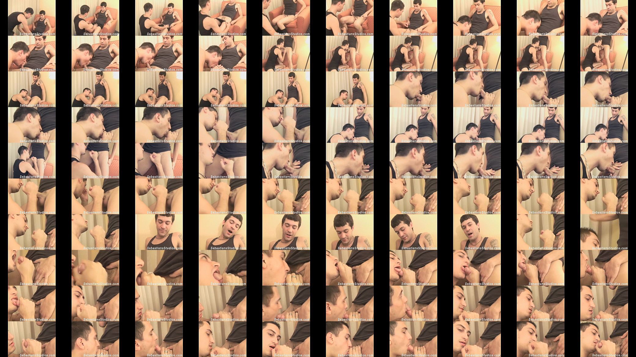 Nate Foxx Swallows 3 预览图