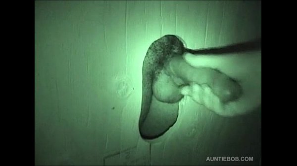 Download Video - Auntie Bob's Public Rest Room Hidden Cam