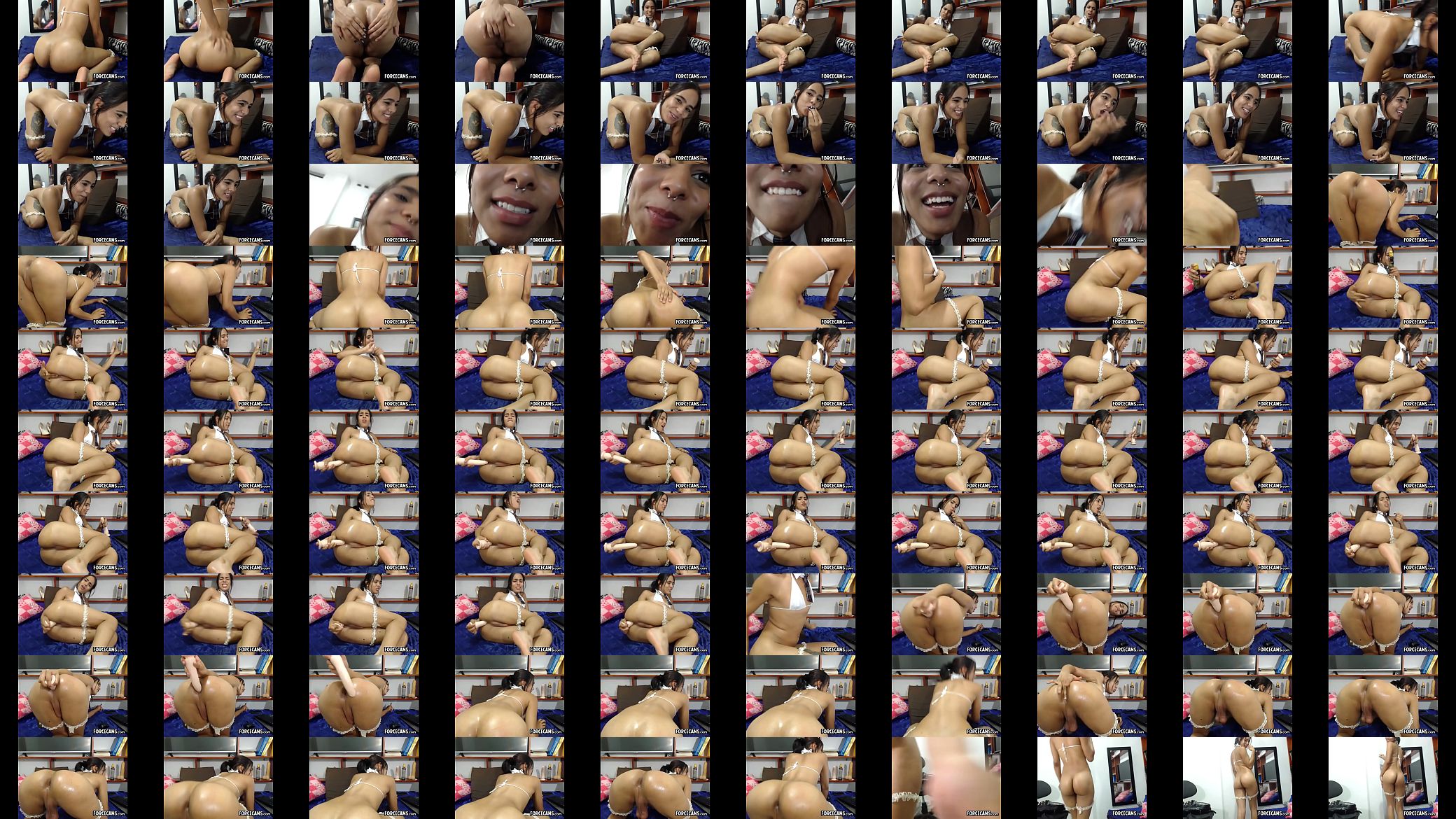 Loving 18YO Amateur Shemale Prostitute 预览图