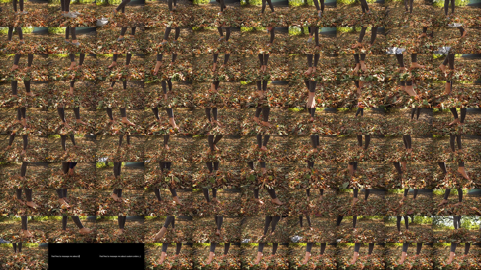Leaves Crunching Underfoot ASMR 预览图