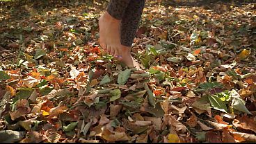 Leaves Crunching Underfoot ASMR