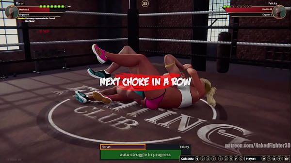 Florian VS Felicity (Naked Fighter 3D)