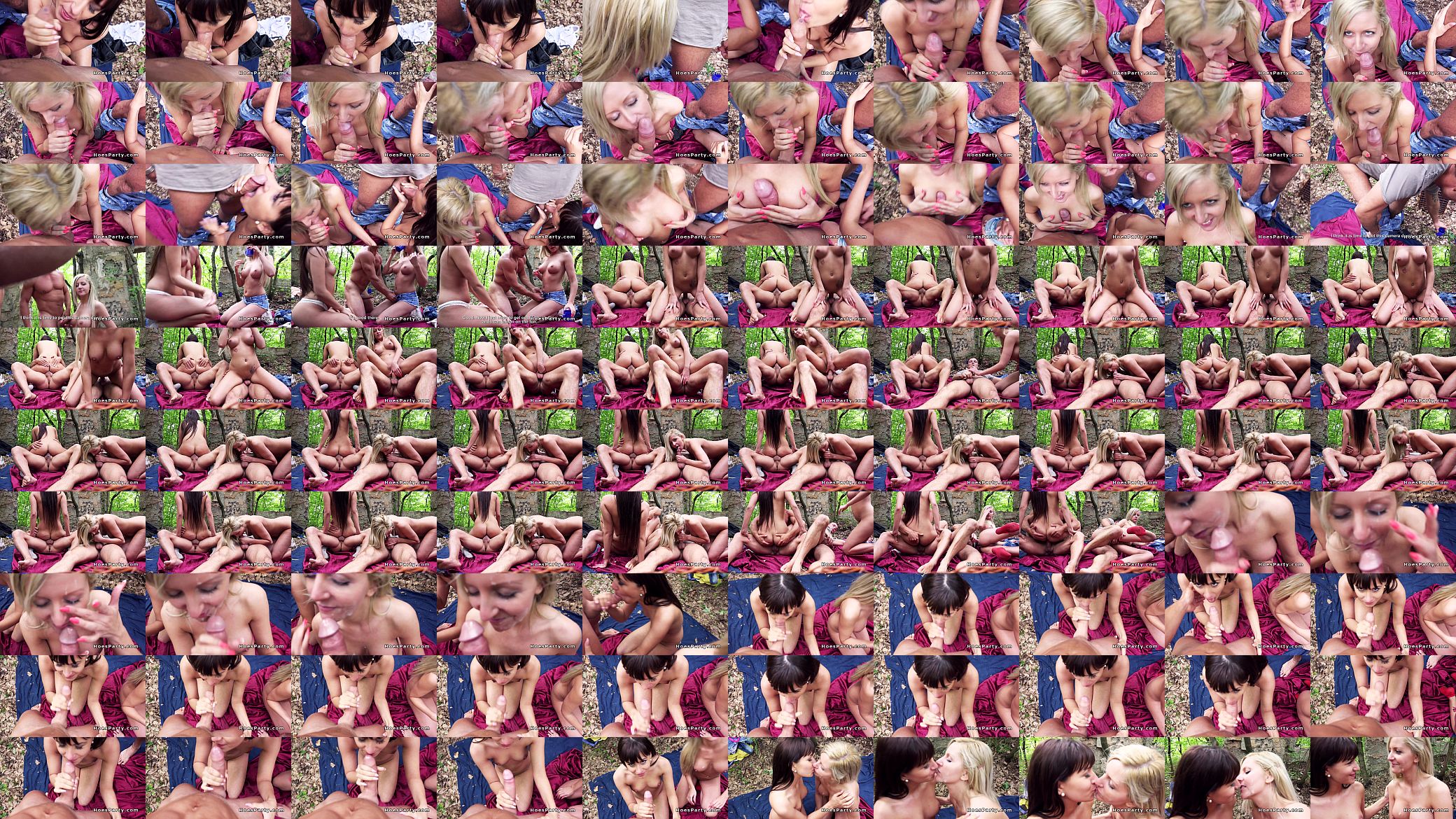 Picnic party turns into foursome sex 预览图