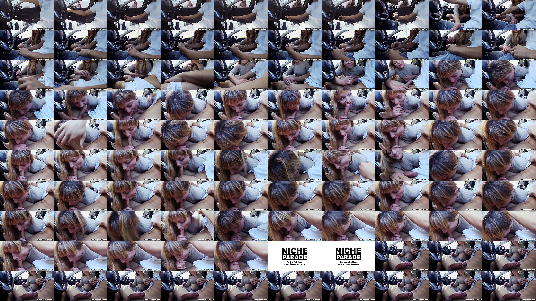NICHE PARADE - Slutty Blonde MILF Gave Me A BJ For $100 预览图
