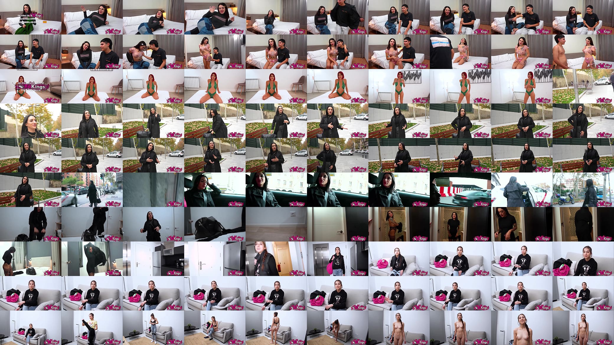Transsexuals, MILFs, and horny girls eager to start filming. Jessica Kate, Albaan, Nelia Estrada, and Vanesa Merino are on FAKings 预览图