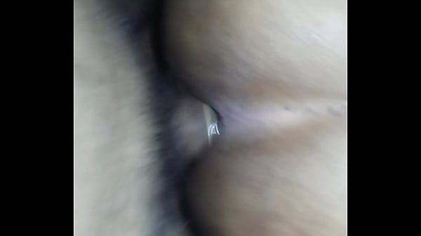 Download Video - O Novinho Picudo me Arrebentou&period;