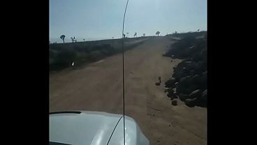 We Like To Share Cum -