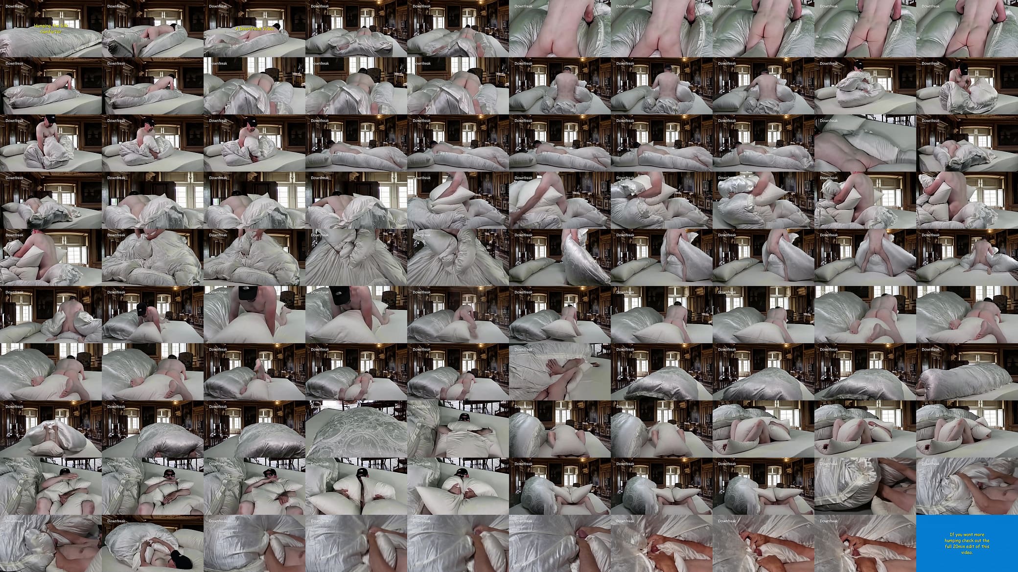*Short Version* Silk Bed Humping Down Comforter and Big Down Pillows. 预览图