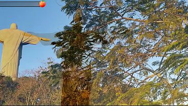 She Shows Me How She Fucks After I Bring Her Home from Our Date