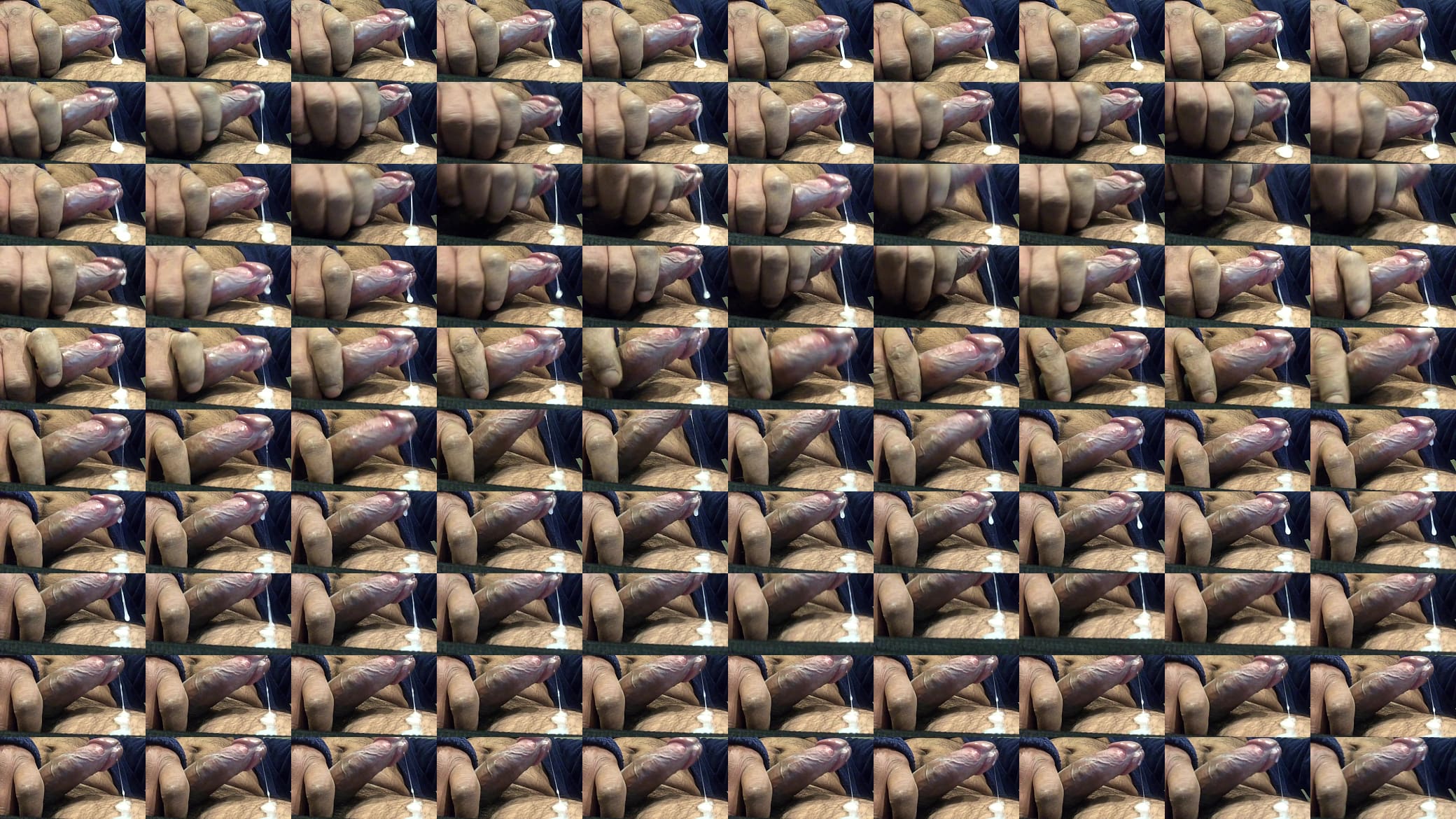 Paja rica 预览图