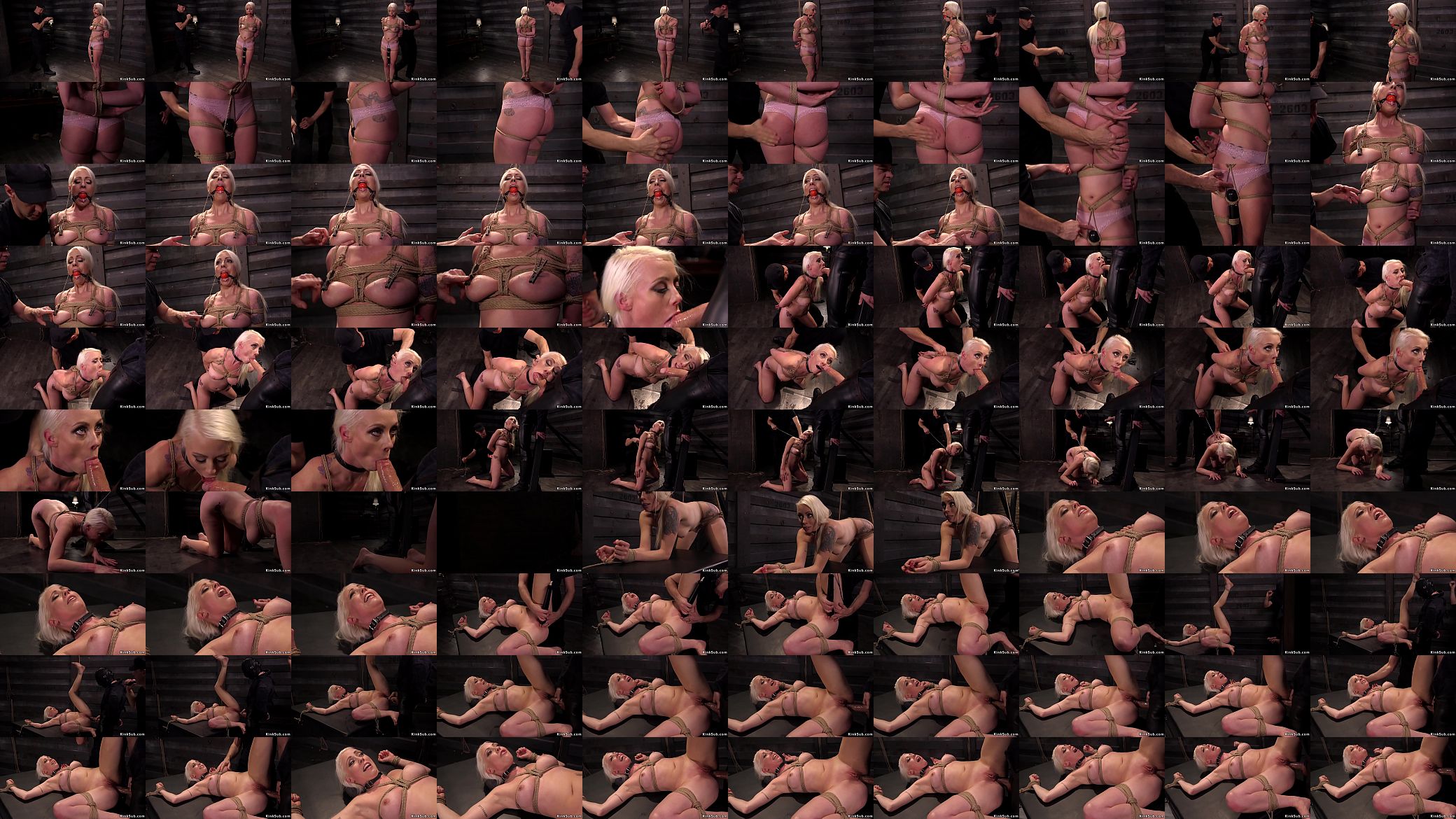 Busty tied up blonde anal fucked 预览图