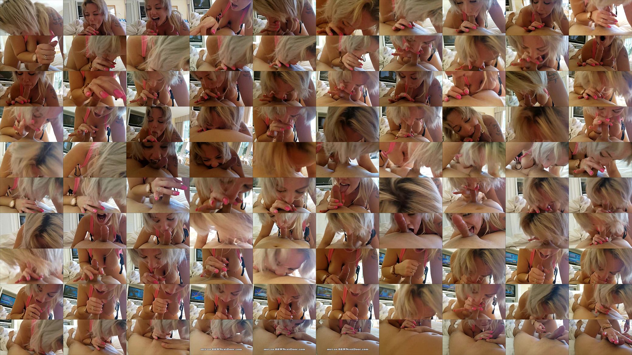 Blonde Chubby Doll Giving a Perfect Blowjob 预览图