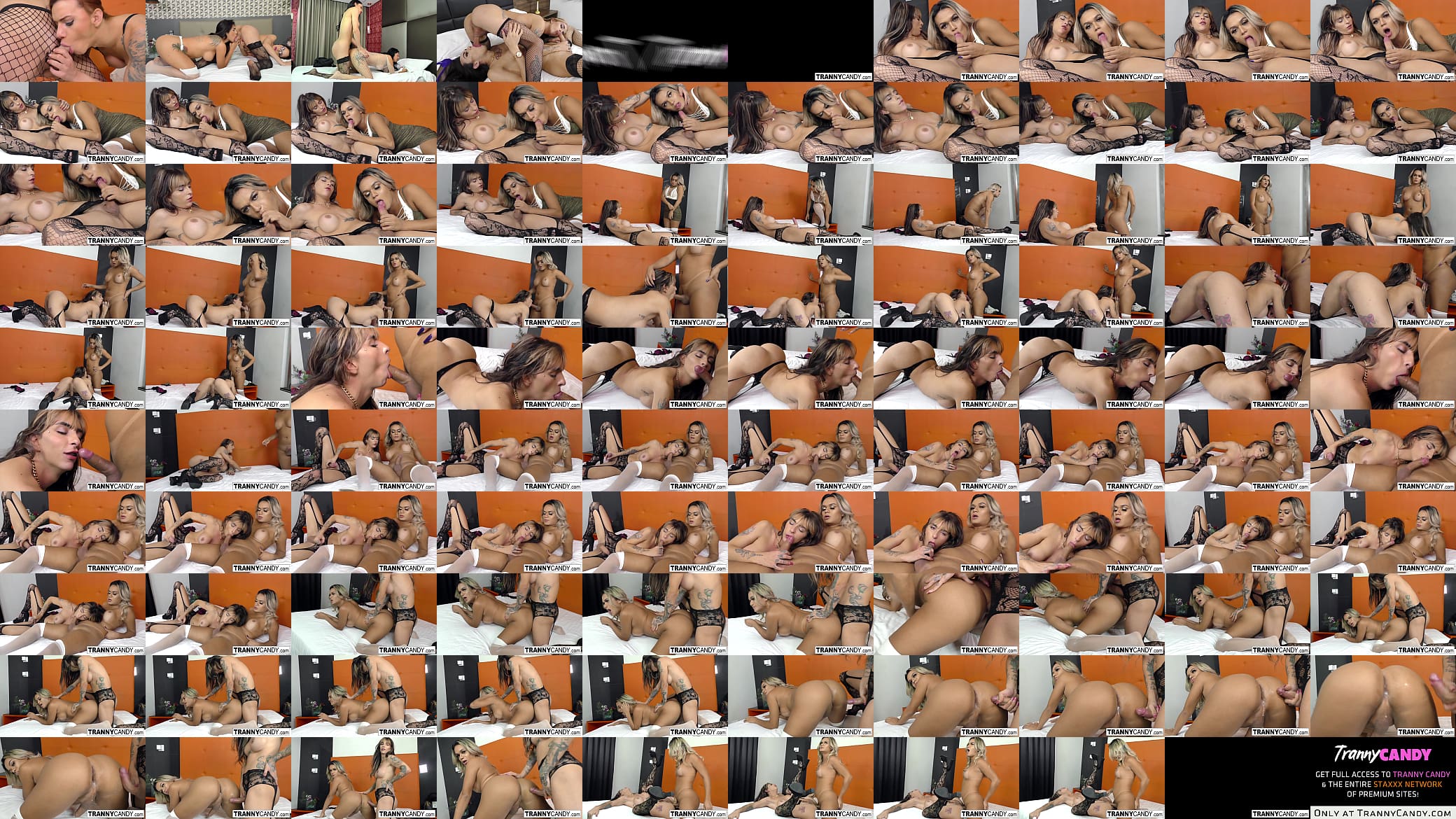 Chicks with big dicks have some anal fun 预览图