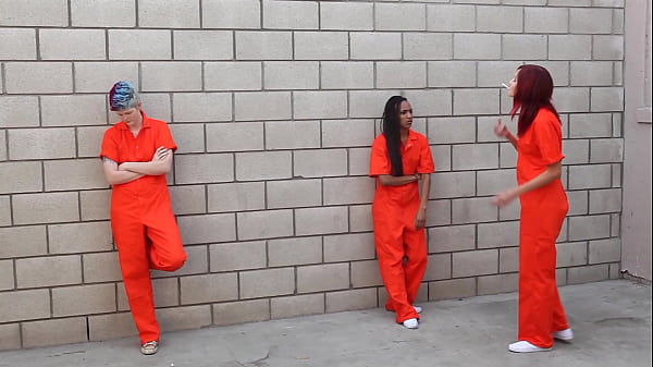 Phoenix Askani and Odile get away from the insanity of the brick yard and the guards, to...