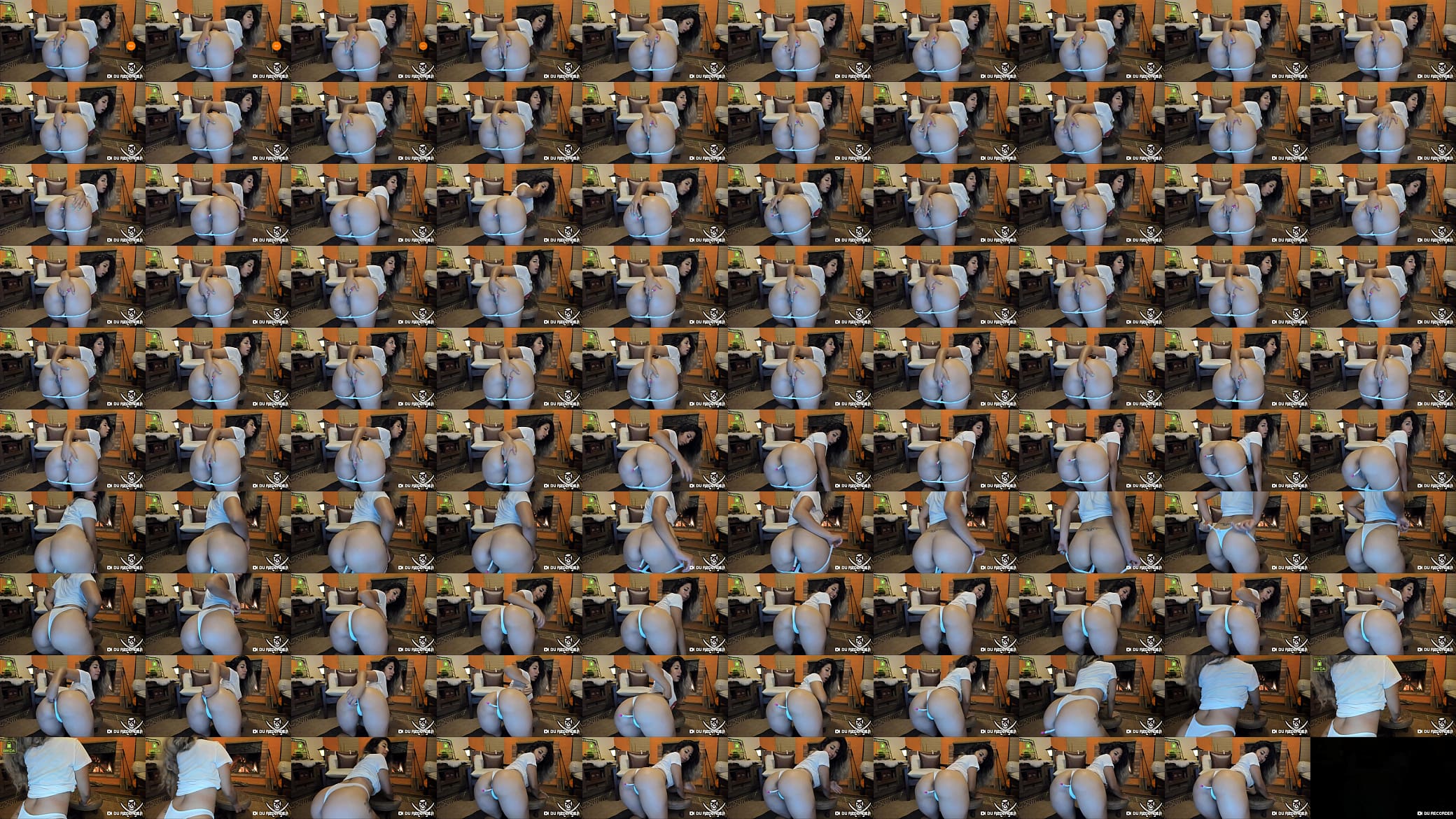 Big ass webcam 预览图