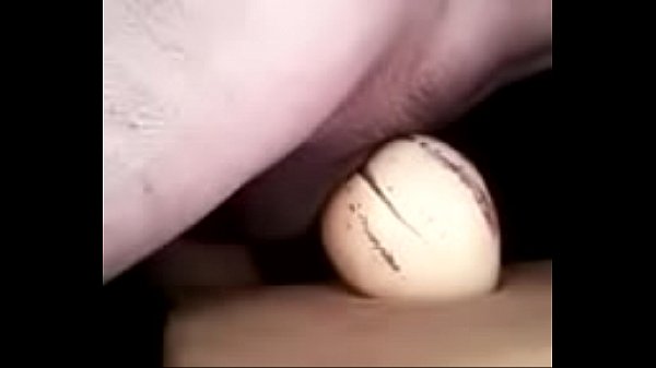 Download Video - verga rompe todo