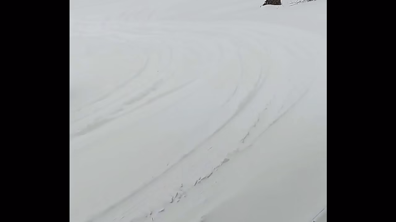 Verification video