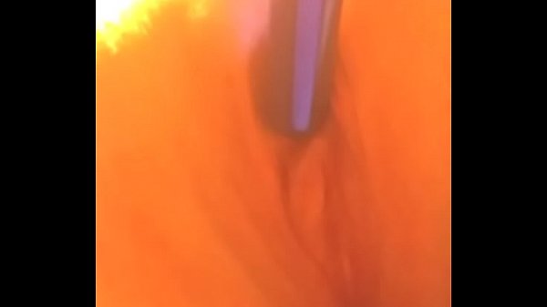 celestia's lovely pussy