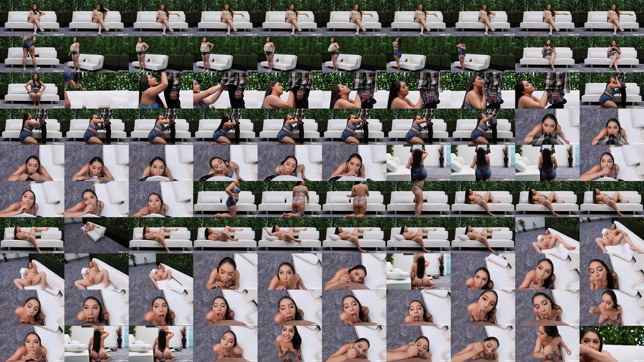 Netvideogirl 1 预览图