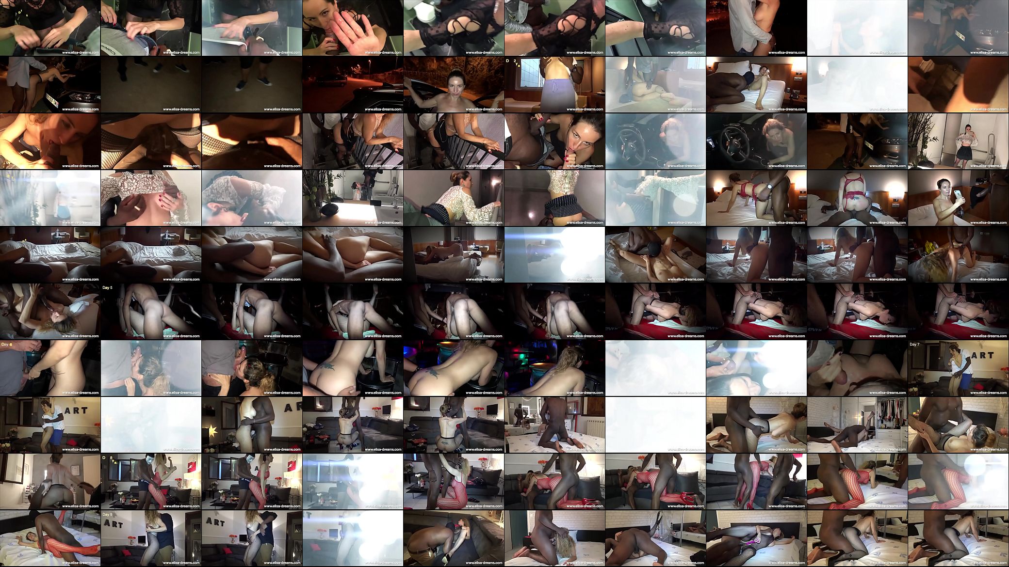 Sex Challenge 9 First Days 预览图