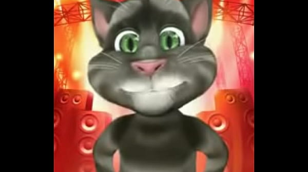 vid wa 