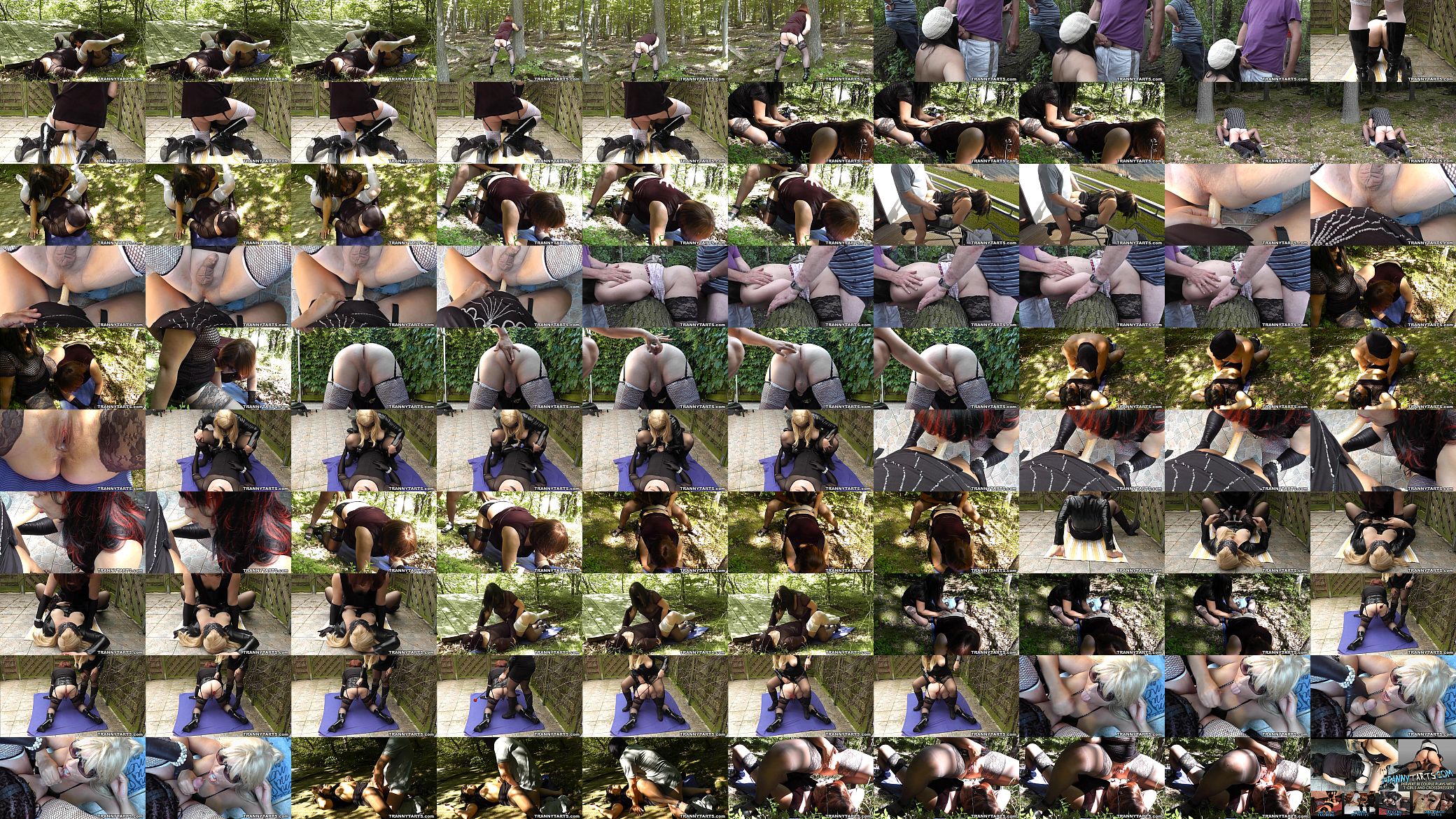 Public sex and outdoor orgies with transvestites and crossdressers 预览图