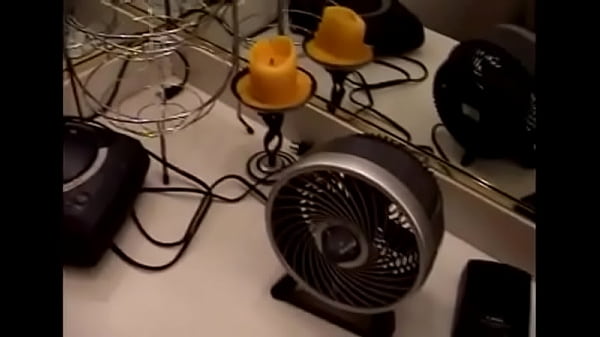 Mischievous kitty gets licked and teased