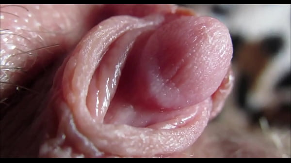 Huge clitoris rubbing and jerking orgasm