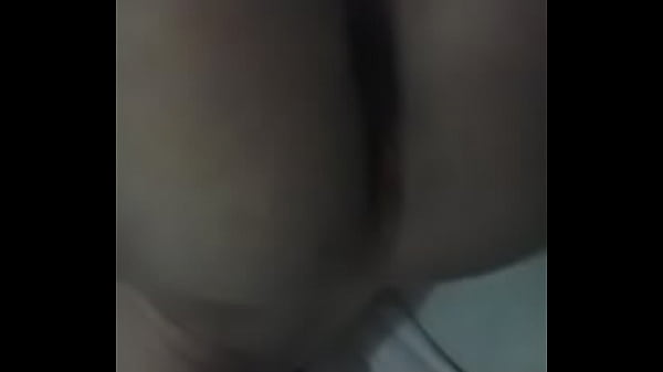 Barbudo novinho Uberlandia