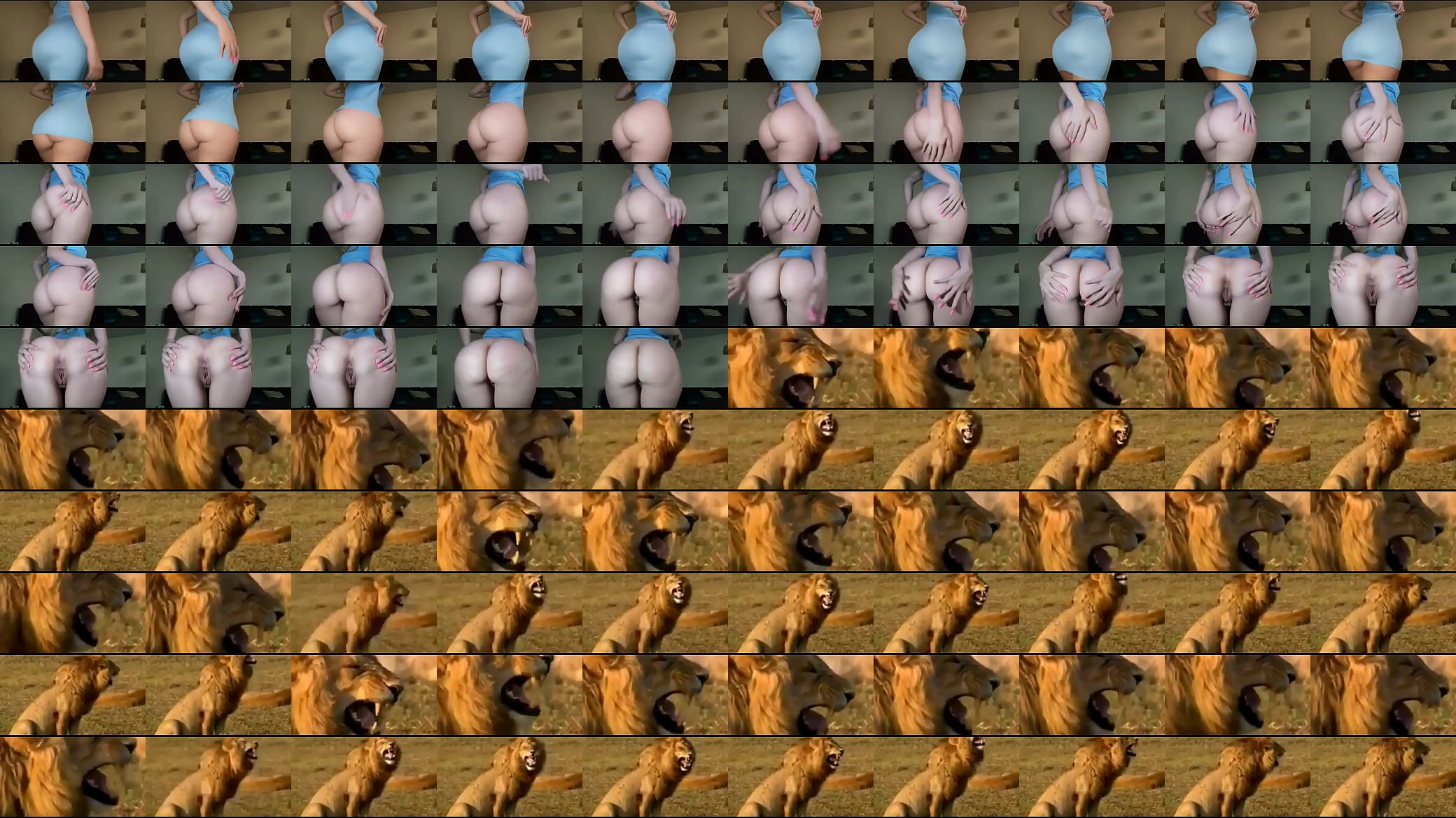 Latin hot 预览图