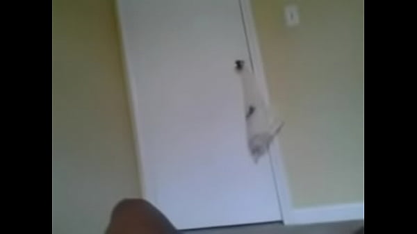 video-2012-02-14-12-17-09