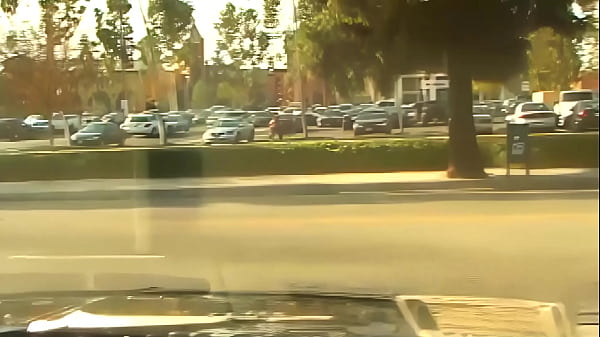 Melrose Foxx has a tiny black adventure