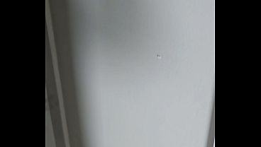 Verification video 7 sec