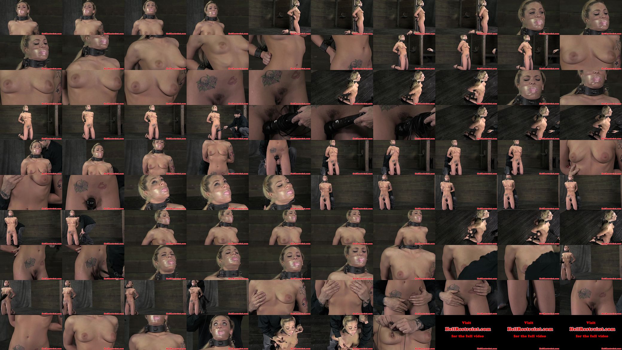 Nasty maledom shows us his skank subject 预览图