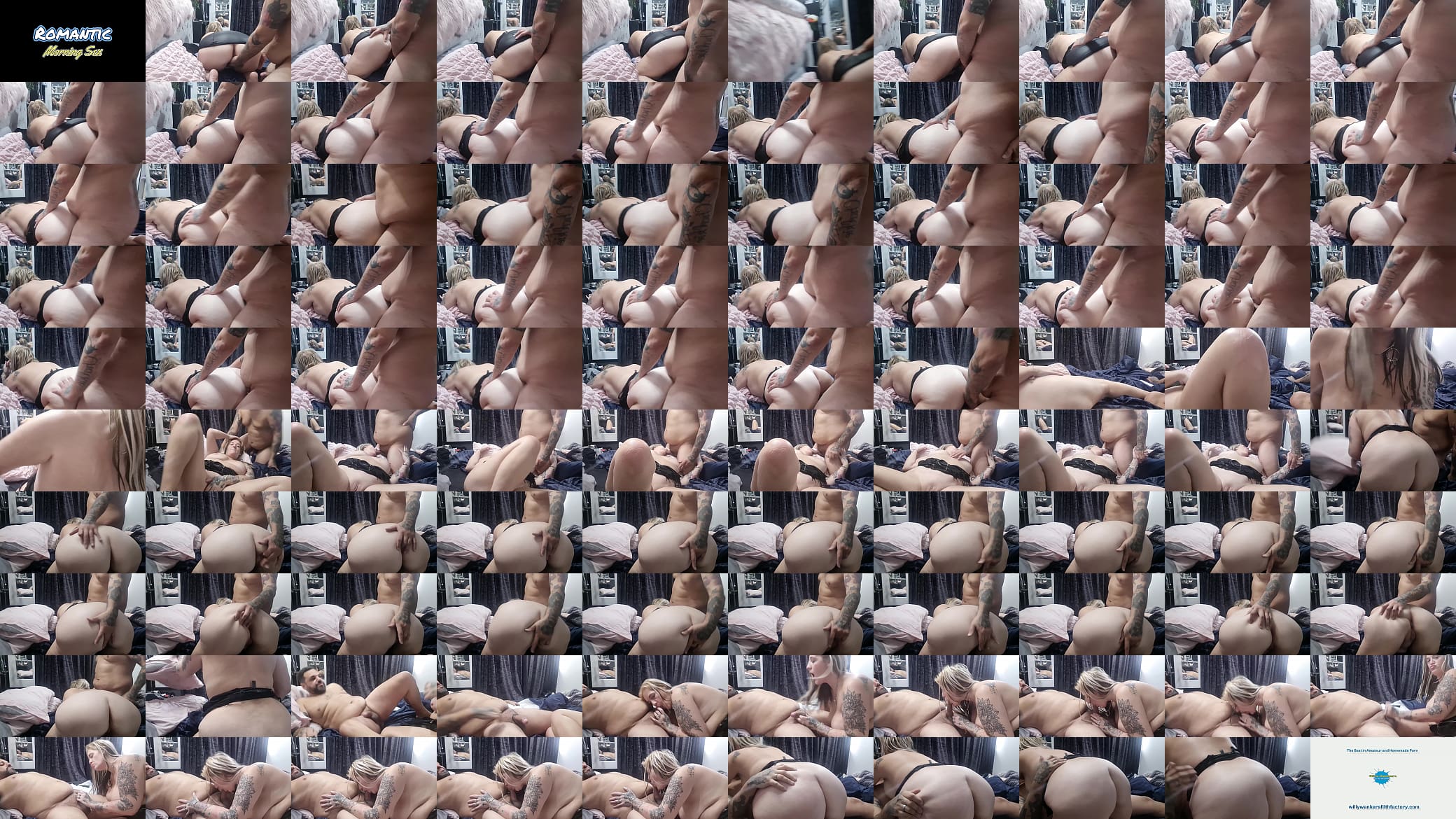 Romantic Morning Sex 预览图
