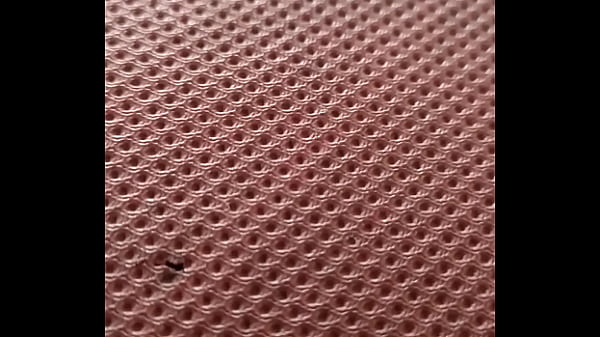 my dick